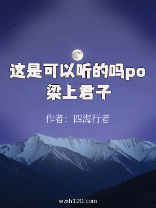 这是可以听的吗po梁上君子