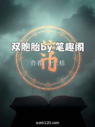 双胞胎by 笔趣阁