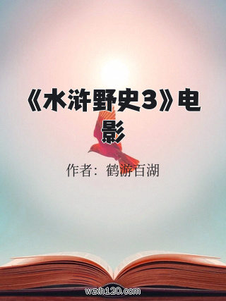 《水浒野史3》电影