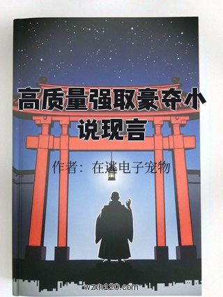 高质量强取豪夺小说现言