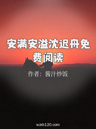 安满安溢沈迟舟免费阅读