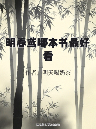 明春鸢哪本书最好看