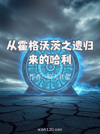 从霍格沃茨之遗归来的哈利