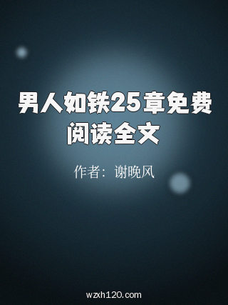 男人如铁25章免费阅读全文
