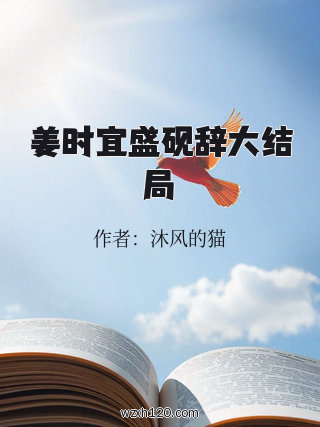 姜时宜盛砚辞大结局