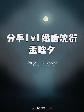 分手1v1婚后沈衍孟晗夕