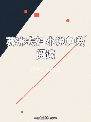 苏冰夫妇小说免费阅读
