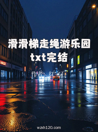 滑滑梯走绳游乐园txt完结