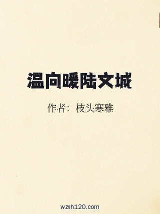 温向暖陆文城