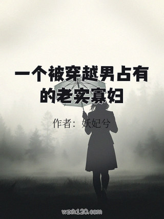 一个被穿越男占有的老实寡妇