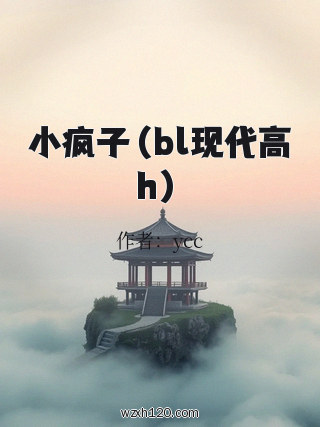 小疯子(bl现代高h)