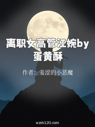 离职女高管江婉by蛋黄酥