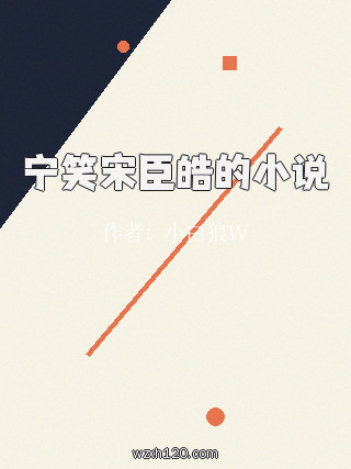 宁笑宋臣皓的小说