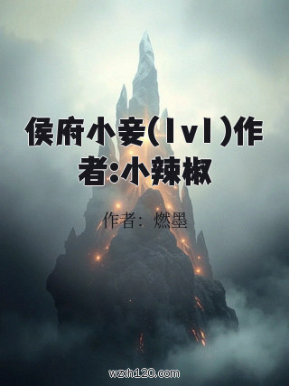侯府小妾(1v1)作者:小辣椒