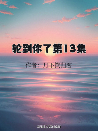 轮到你了第13集