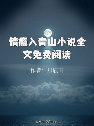 情瘾入青山小说全文免费阅读