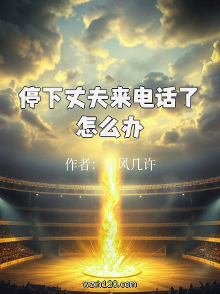 停下丈夫来电话了怎么办