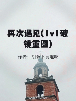 再次遇见(1v1破镜重圆)