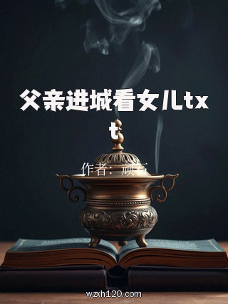 父亲进城看女儿txt