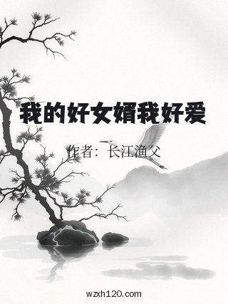 我的好女婿我好爱