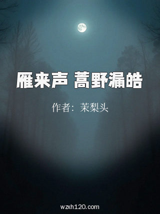 雁来声 蒿野漏皓