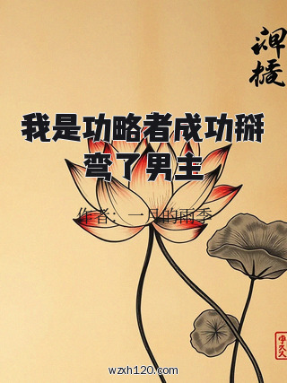 我是功略者成功掰弯了男主