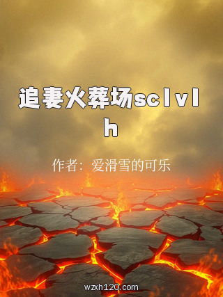 追妻火葬场sc1v1h