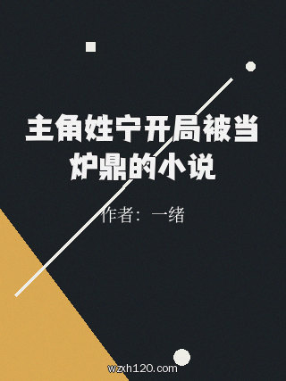 主角姓宁开局被当炉鼎的小说