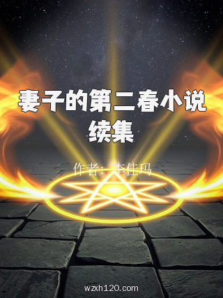 妻子的第二春小说续集