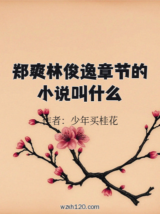 郑爽林俊逸章节的小说叫什么