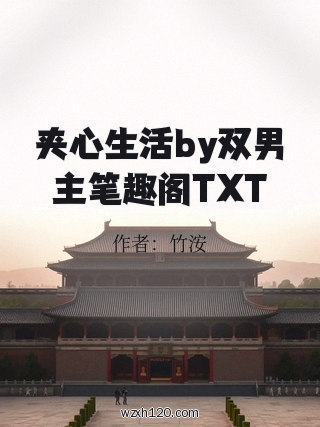 夹心生活by双男主笔趣阁TXT