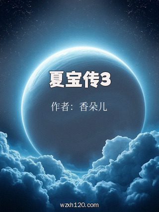 夏宝传3