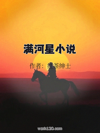 满河星小说