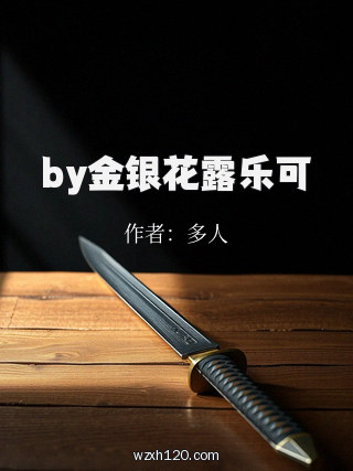 by金银花露乐可