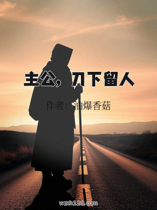 主公,刀下留人