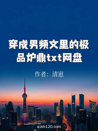 穿成男频文里的极品炉鼎txt网盘