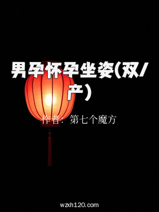男孕怀孕坐姿(双/产)