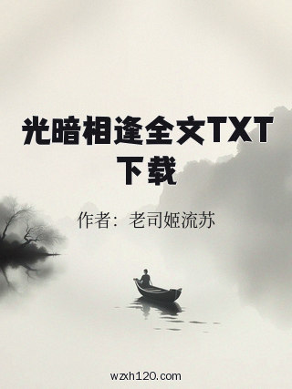 光暗相逢全文TXT下载