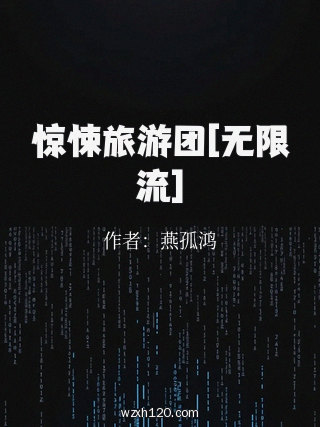 惊悚旅游团[无限流]