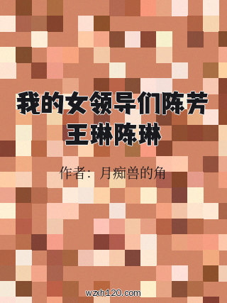 我的女领导们陈芳王琳陈琳