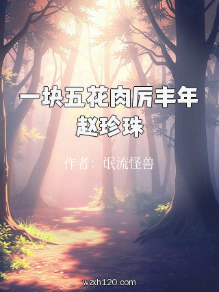 一块五花肉厉丰年赵珍珠