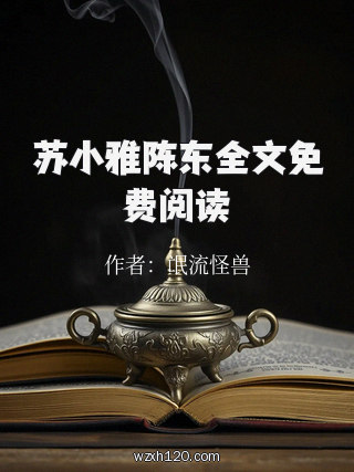 苏小雅陈东全文免费阅读