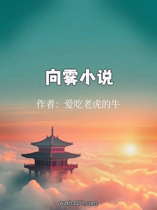 向雾小说