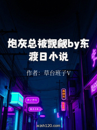 炮灰总被觊觎by东渡日小说