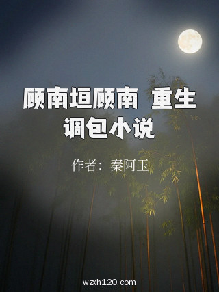 顾南垣顾南玥重生调包小说