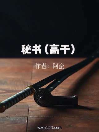 秘书(高干)