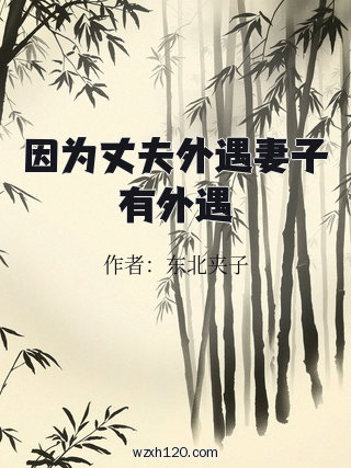 因为丈夫外遇妻子有外遇