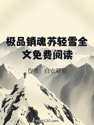 极品销魂苏轻雪全文免费阅读