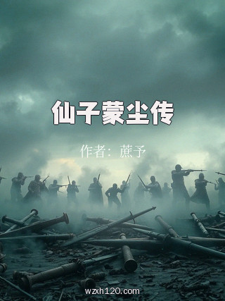 仙子蒙尘传