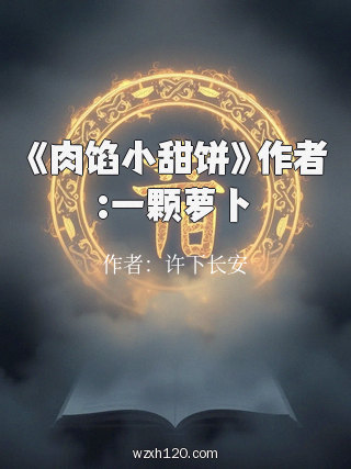 《肉馅小甜饼》作者:一颗萝卜